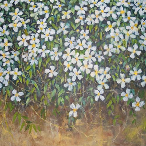 ClematisWallPrintFromPaintingByKenOrgan
