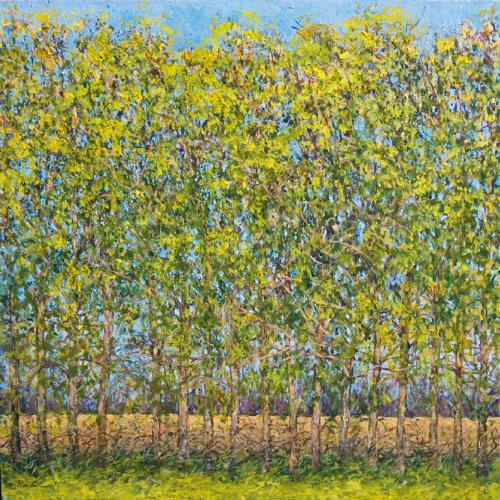 PaintingOfPoplarTreesbyKenOrgan